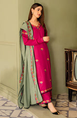 KP571-WINTER 3PC Dhanak suit with Embroidered Shawll