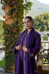 Urge - Winter 3PC Dhanak Embroidered Suit - kp33151