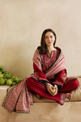 Kp602-WINTER 3-Pc Embroidered Dhanak Suit with Heavy Embroidered Dhanak Shawll